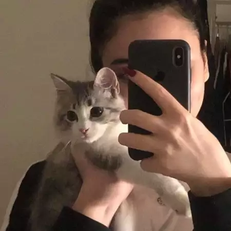 Alina, 25Russia 