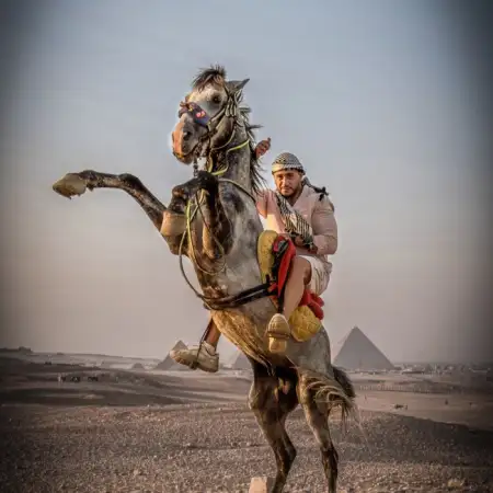 Mahmoud, 34Jordan