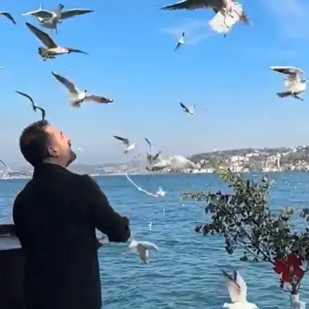Yusuf, 40Turkey