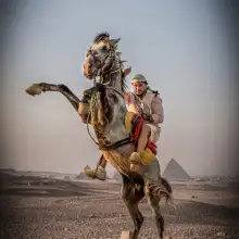 Photo Mahmoud 4 