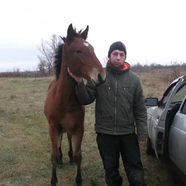 Said, 33, Russia - Meet Nikah