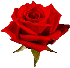 virtual gift #12